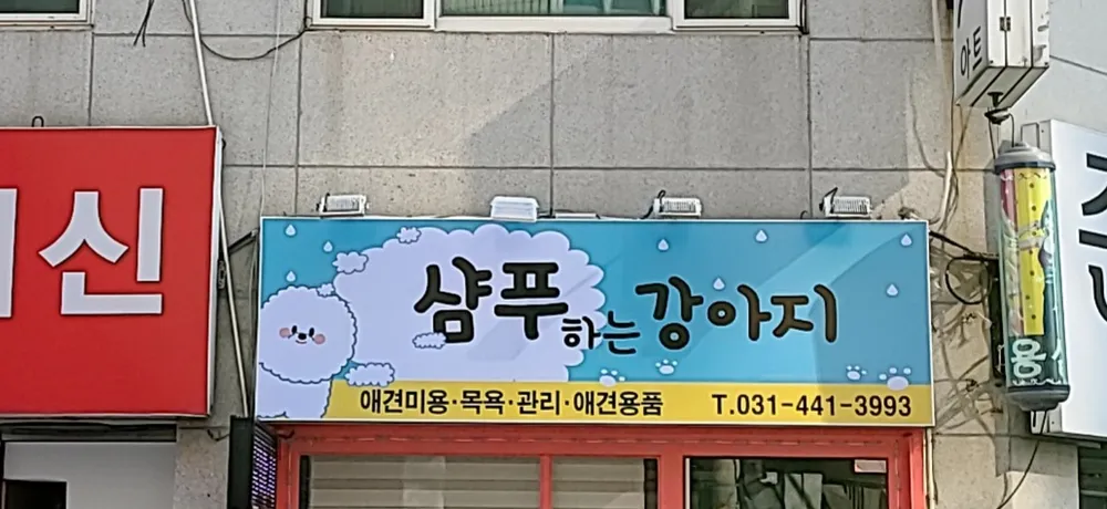 샴푸하는 강아지 대표 이미지