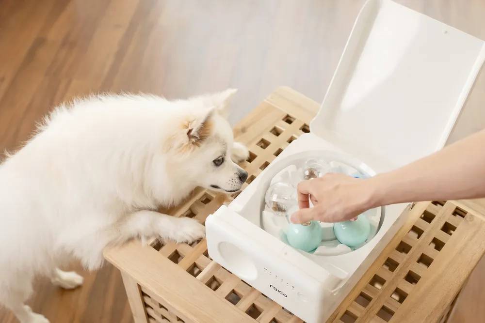 로이코 대표 이미지
