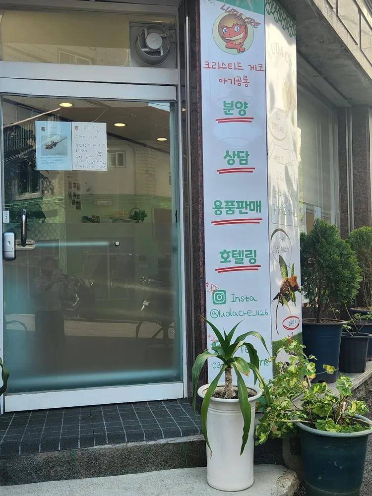 루다크레 대표 이미지