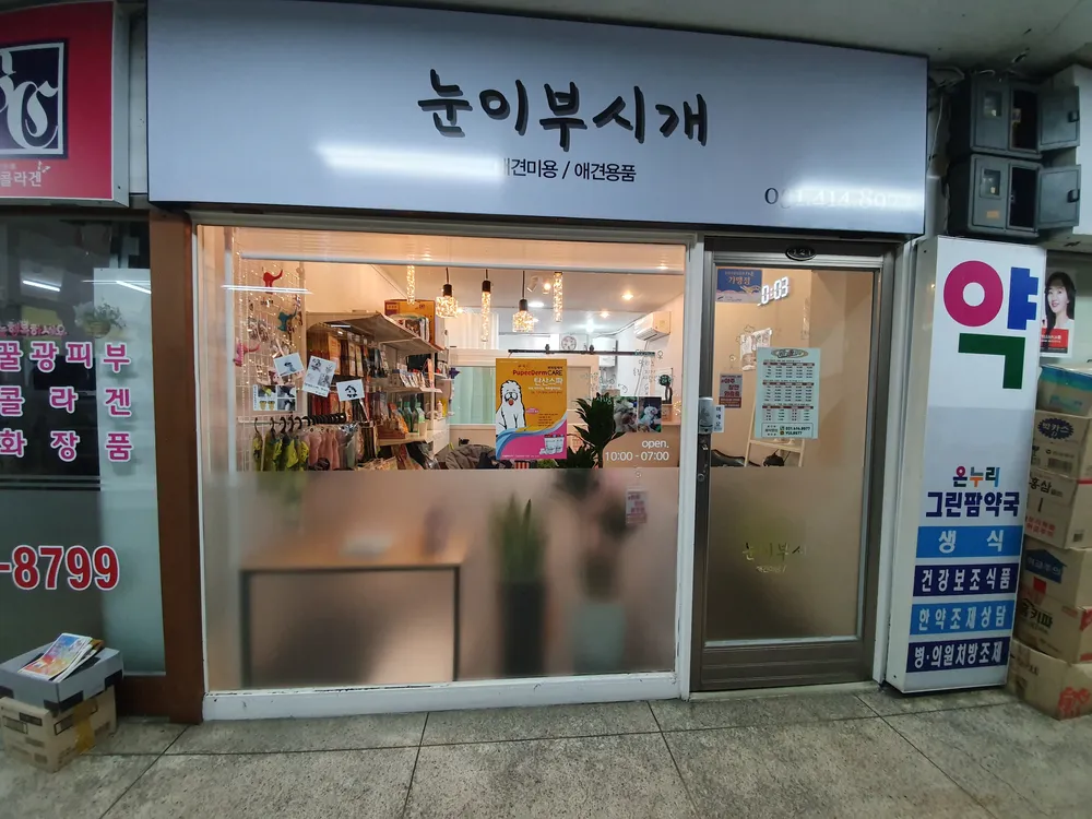눈이부시개 대표 이미지