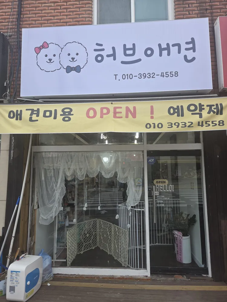 허브애견 대표 이미지