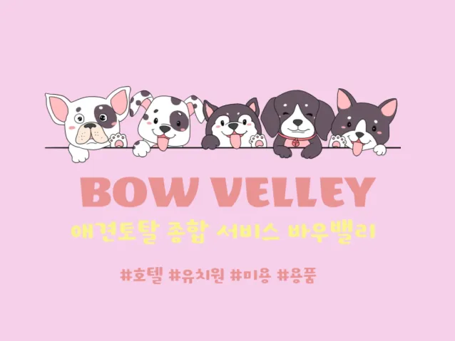 바우밸리 대표 이미지