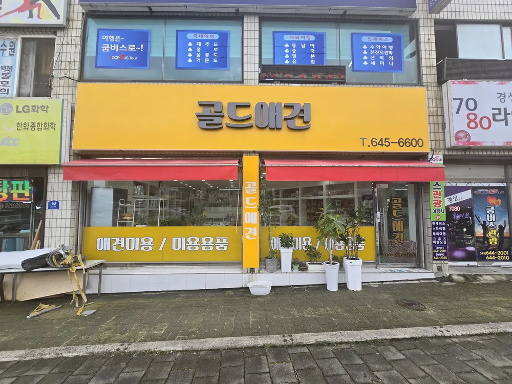 골드애견 대표 이미지