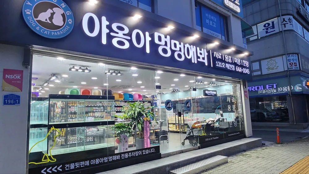 야옹아멍멍해봐 대표 이미지