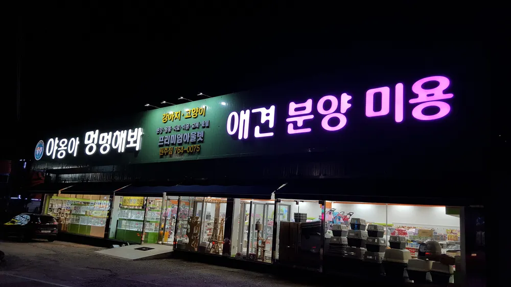 야옹아멍멍해봐 원주 명륜점 대표 이미지