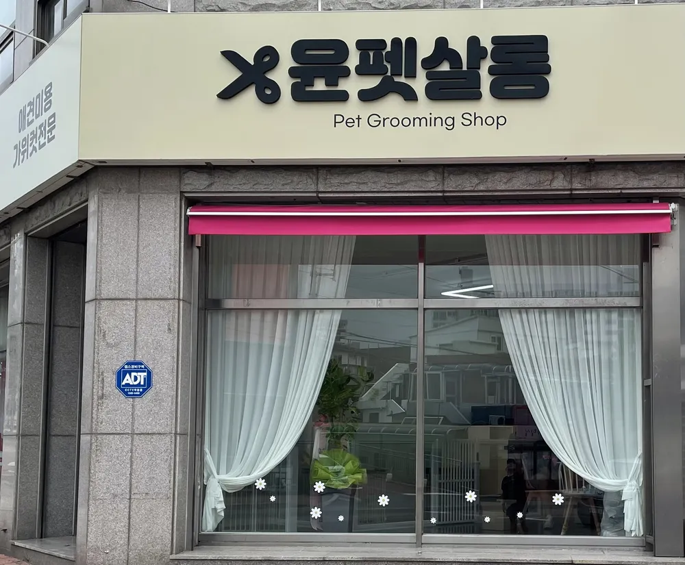 윤펫살롱 대표 이미지