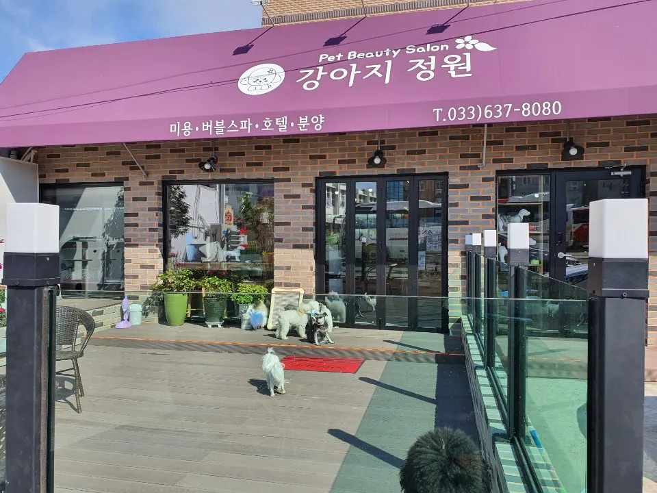강아지정원 대표 이미지