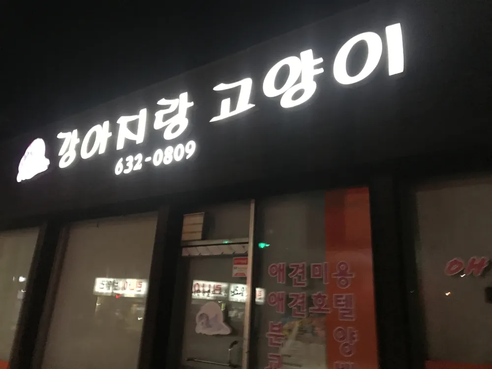 강아지랑고양이 대표 이미지