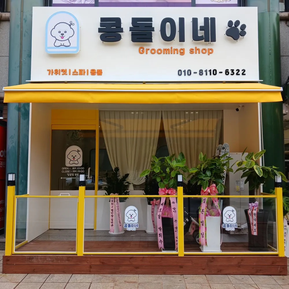 콩돌이네애견샵 대표 이미지