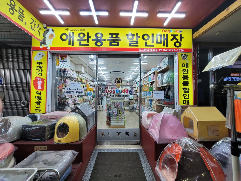 도그버디청주점 대표 이미지