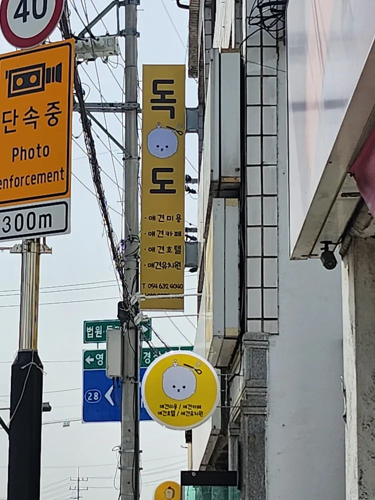 독도애견카페 대표 이미지