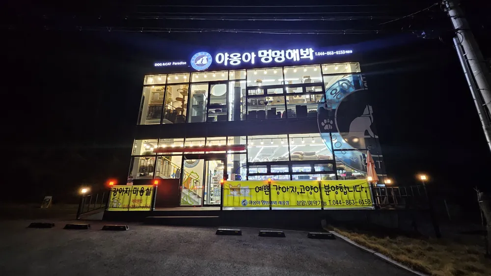 야옹아멍멍해봐 세종점 대표 이미지
