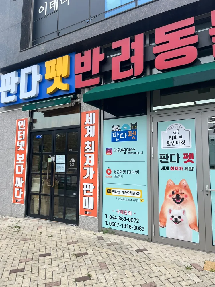 판다펫 대표 이미지
