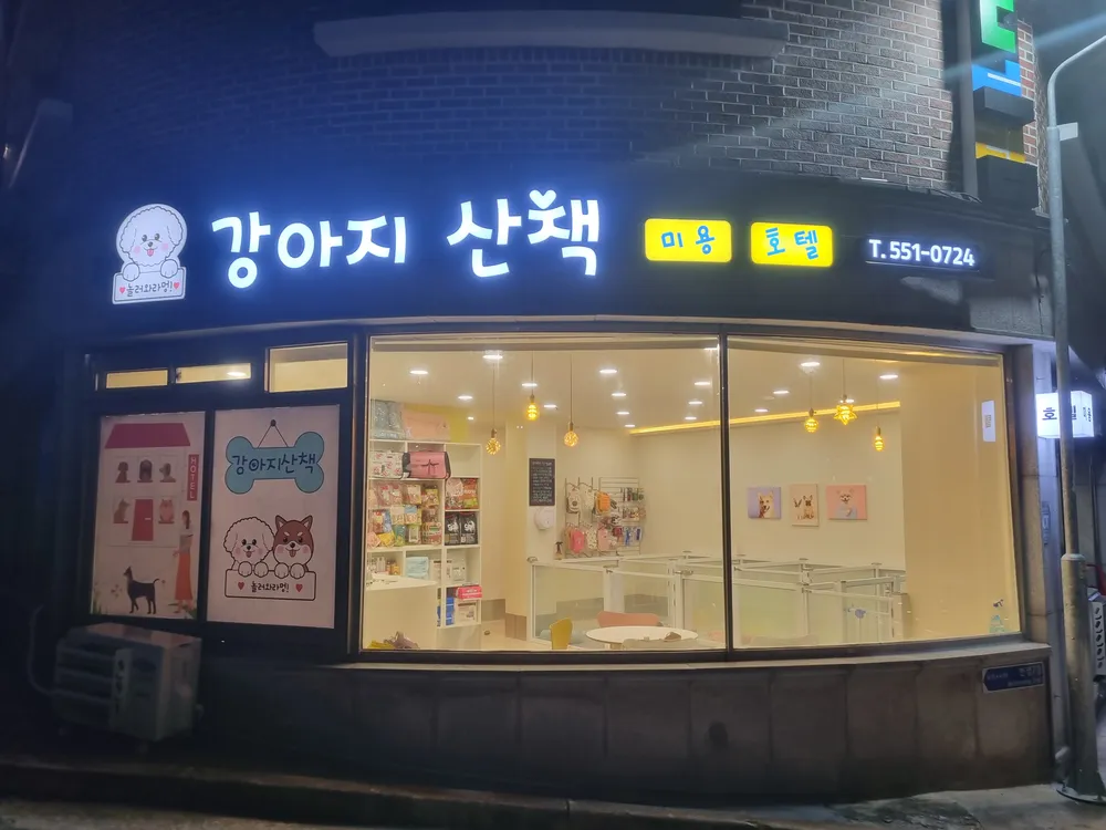 강아지 산책 대표 이미지