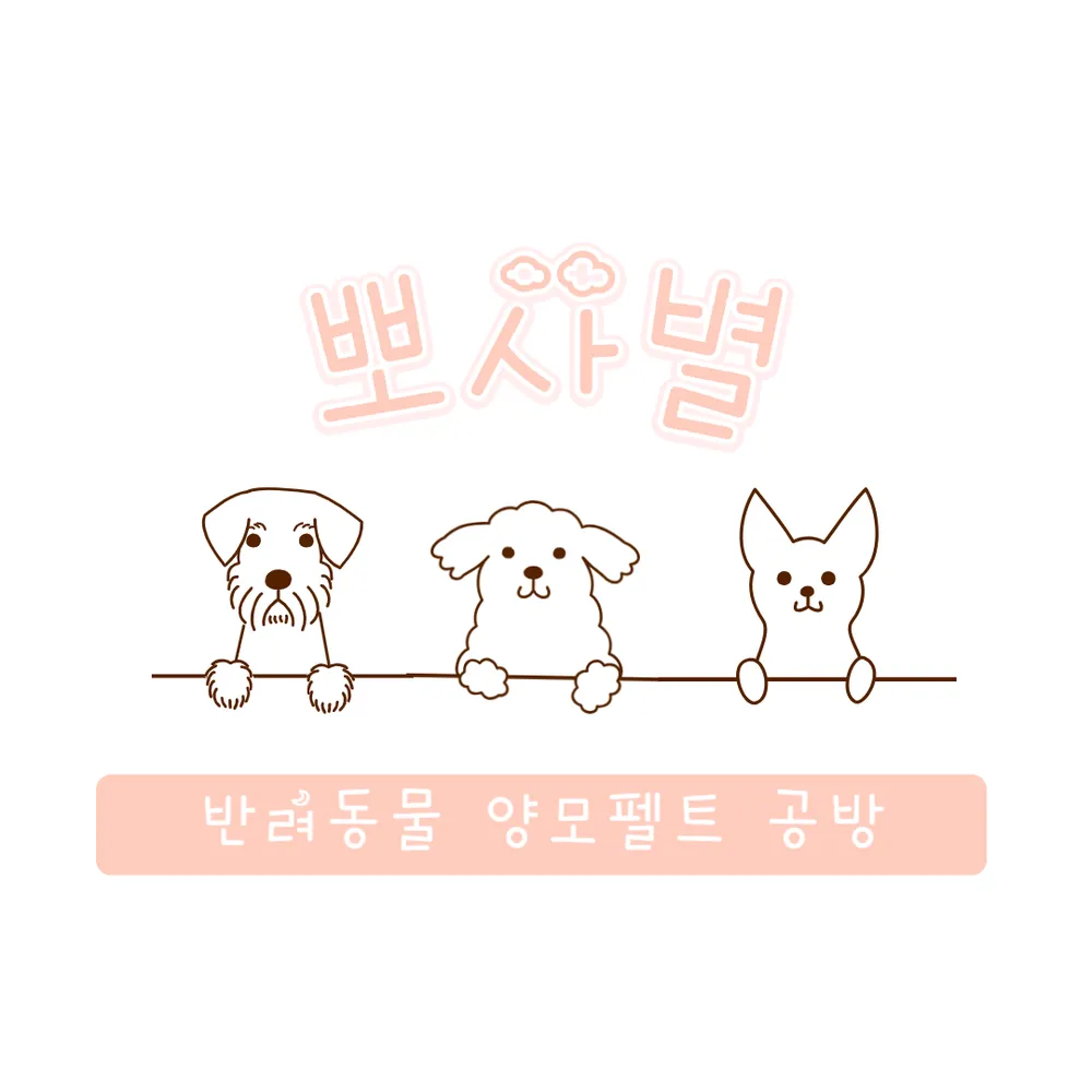 뽀사별 공방 대표 이미지