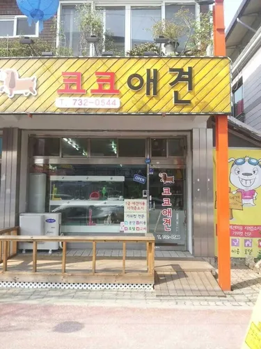코코애견 대표 이미지