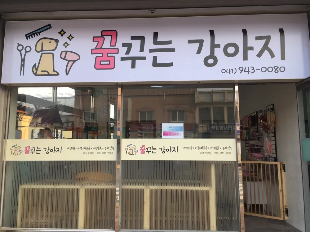 꿈꾸는강아지 대표 이미지