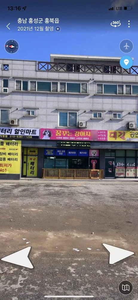 꿈꾸는강아지 대표 이미지
