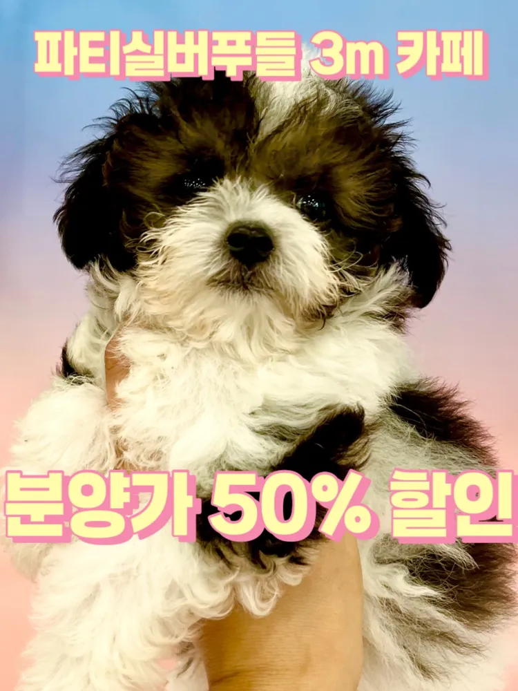 러블리 펫그루밍 대표 이미지
