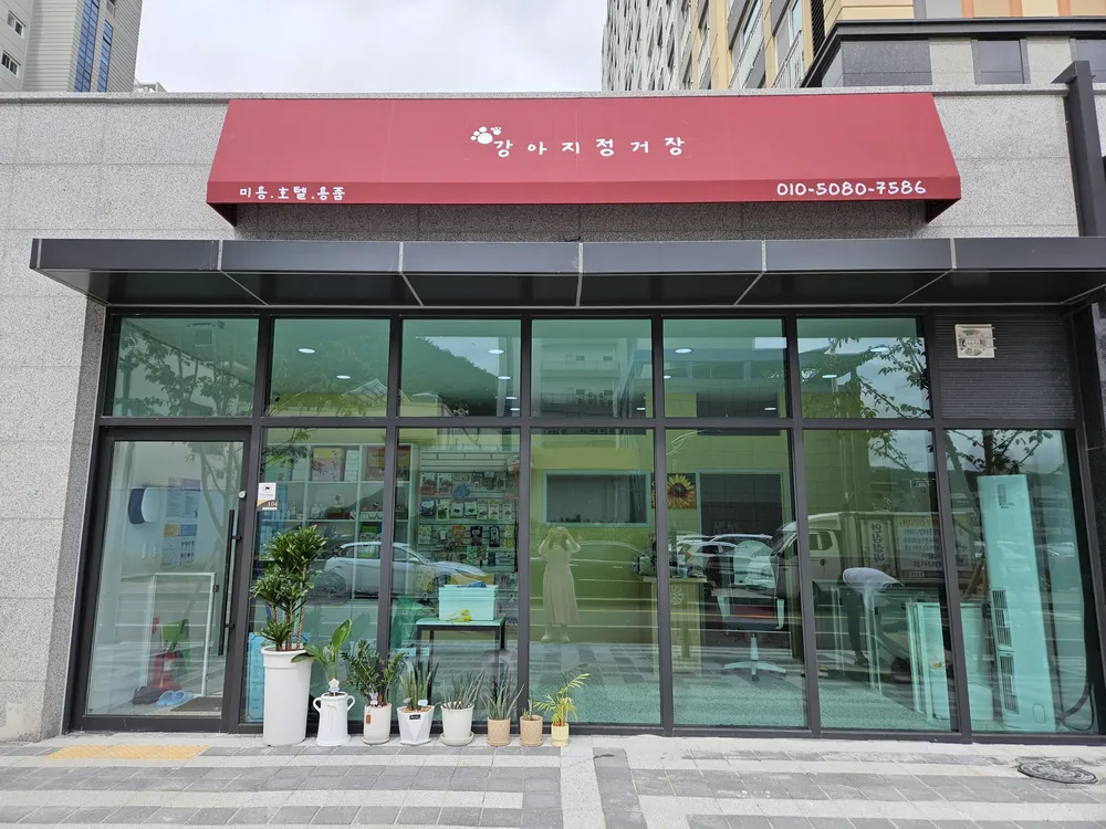 강아지정거장 대표 이미지