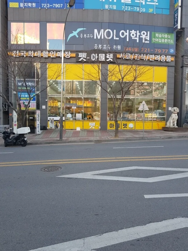 펫아울렛 대표 이미지