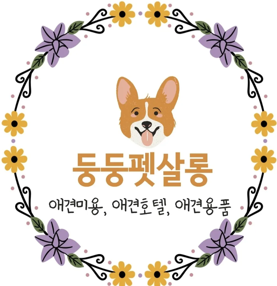 둥둥펫살롱 대표 이미지