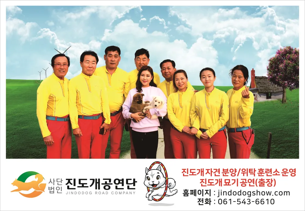 진도개공연단 대표 이미지