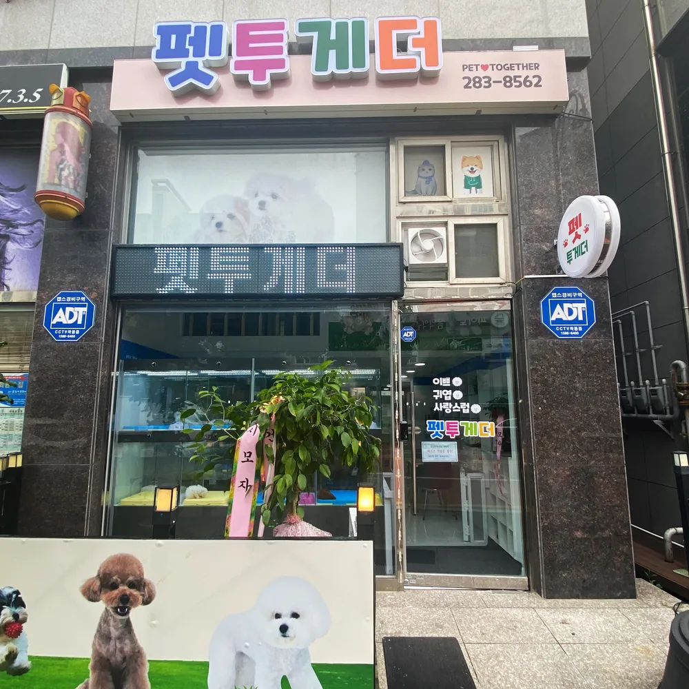 펫투게더 대표 이미지