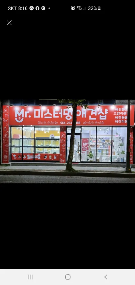 미스터멍애견샵 대표 이미지