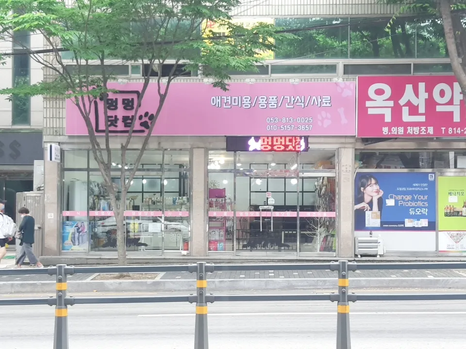 멍멍닷컴 대표 이미지
