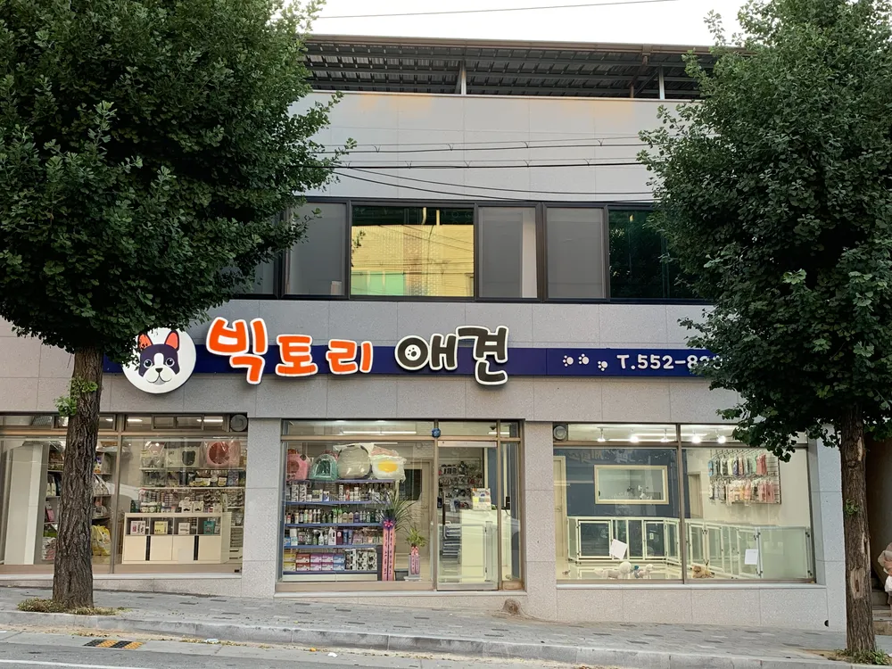 빅토리애견