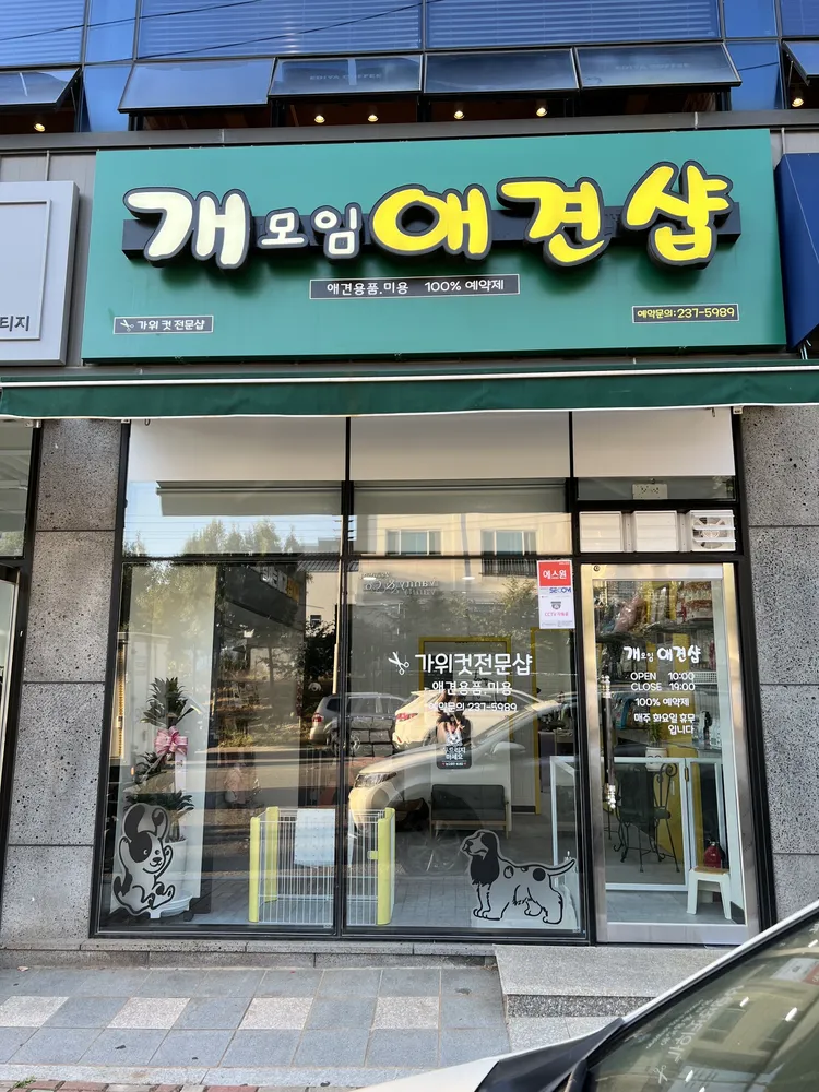 개모임애견샵 대표 이미지