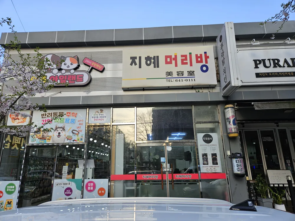 펫츠아일랜드 대표 이미지