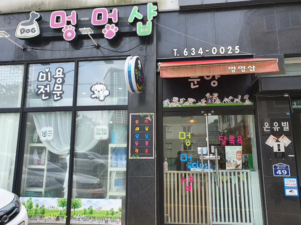 멍멍샵 대표 이미지