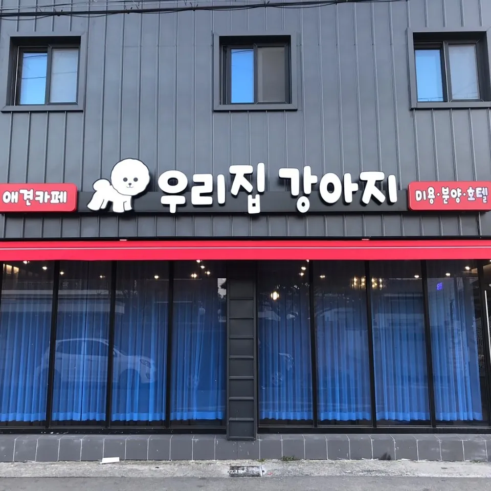 우리집강아지 대표 이미지