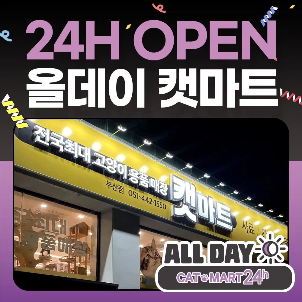 캣마트 부산점