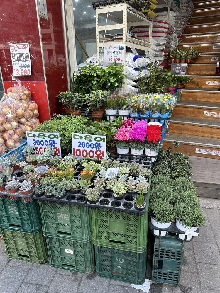 알파디씨마트 대표 이미지