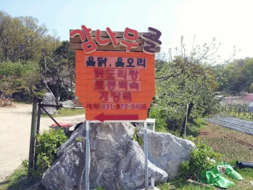 감나무골 대표 이미지