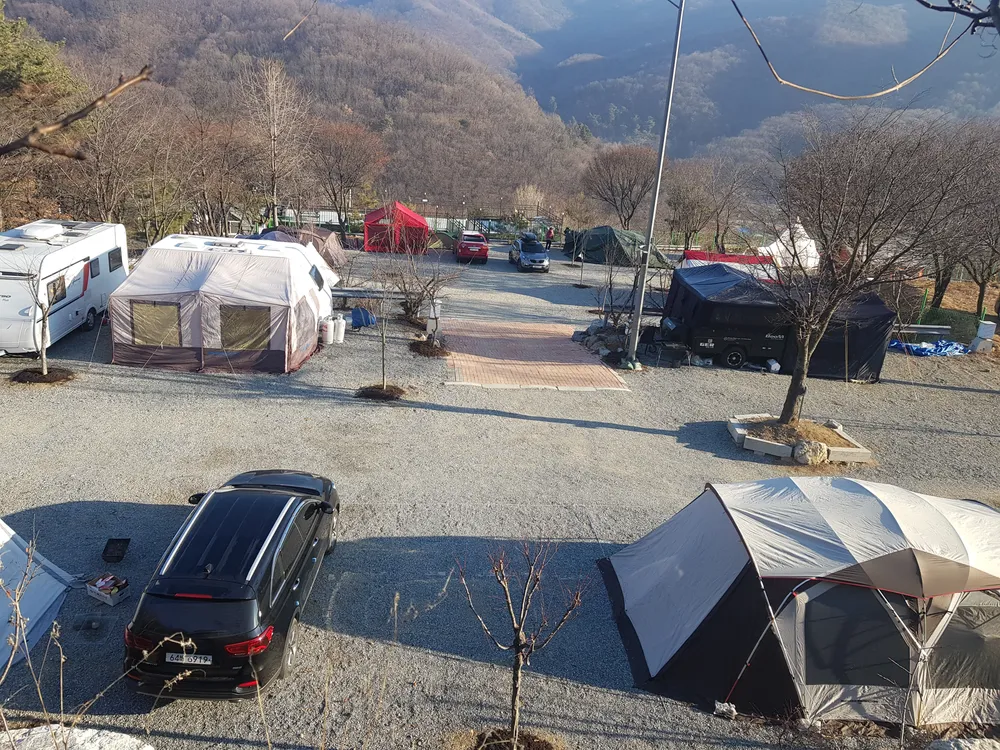 짱아민박&캠핑장 대표 이미지