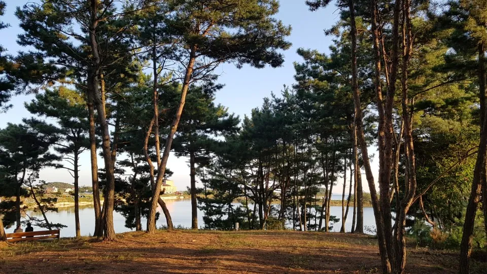 대부도아라뜰캠핑장 대표 이미지