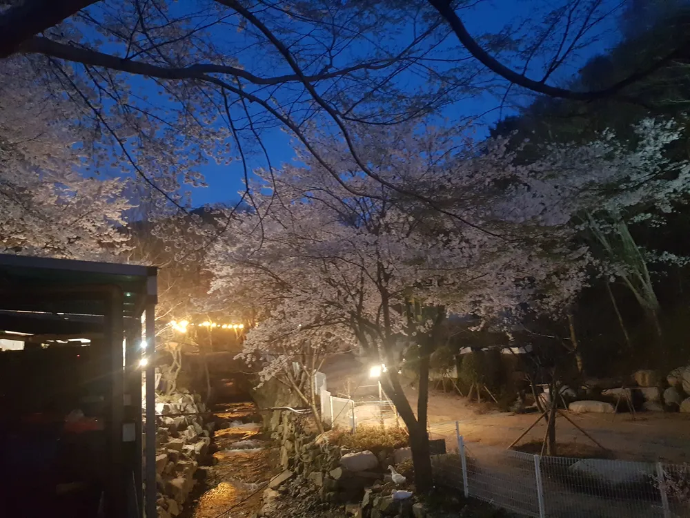 초원숲속글램핑 대표 이미지
