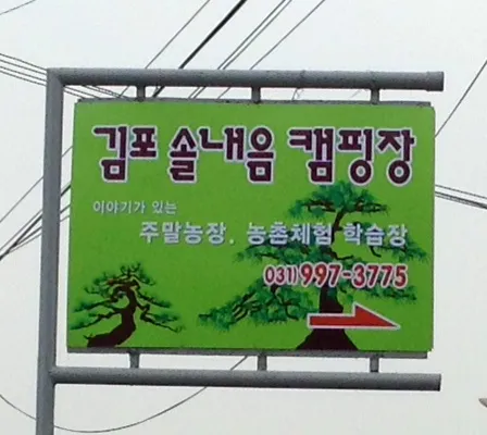 솔내음캠핑장 대표 이미지