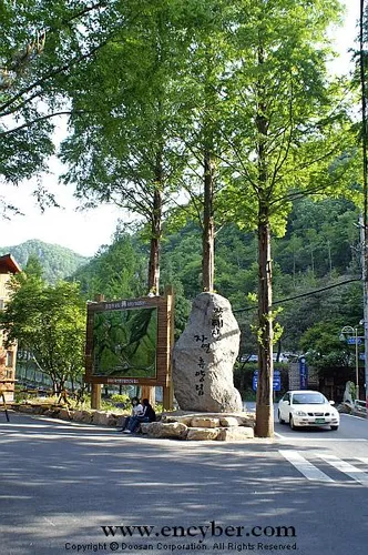 장태산자연휴양림 대표 이미지