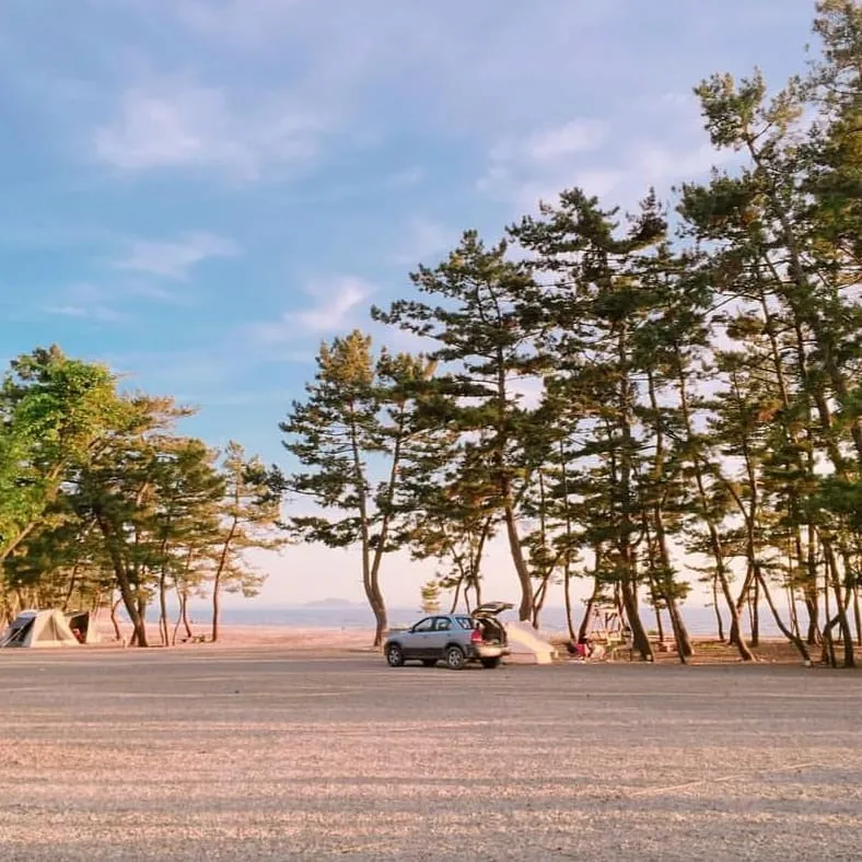 대부도 나라펜션캠핑장 대표 이미지