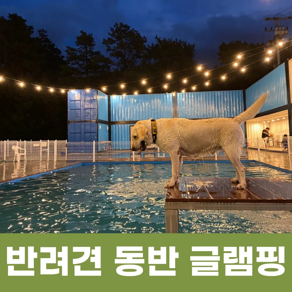 멍글멍글펫글램핑 대표 이미지