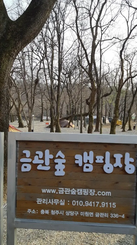 금관숲캠핑장 대표 이미지