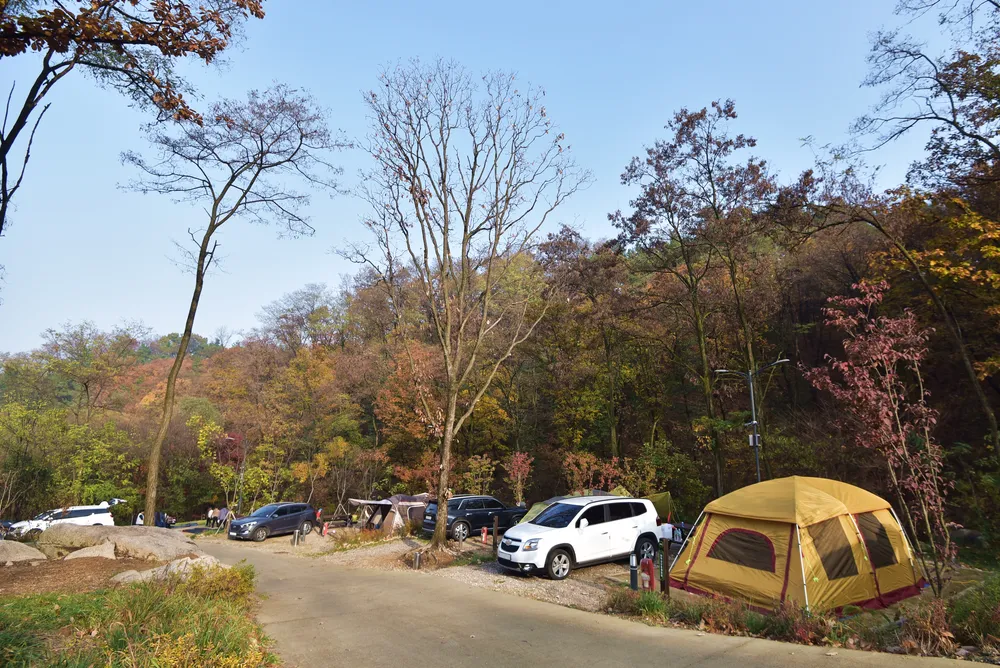 태학산자연휴양림 오토캠핑장 대표 이미지