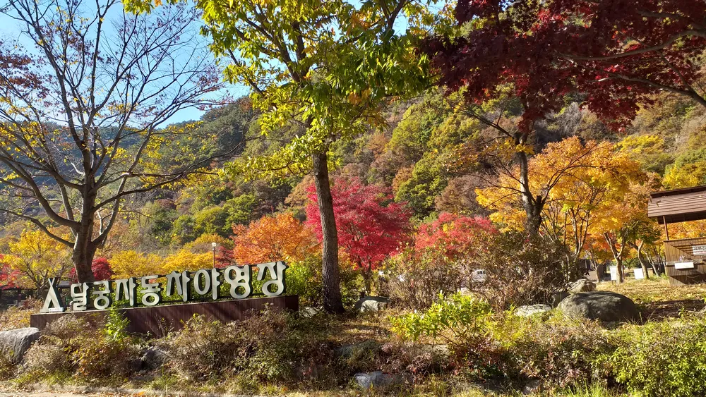 달궁자동차야영장 대표 이미지