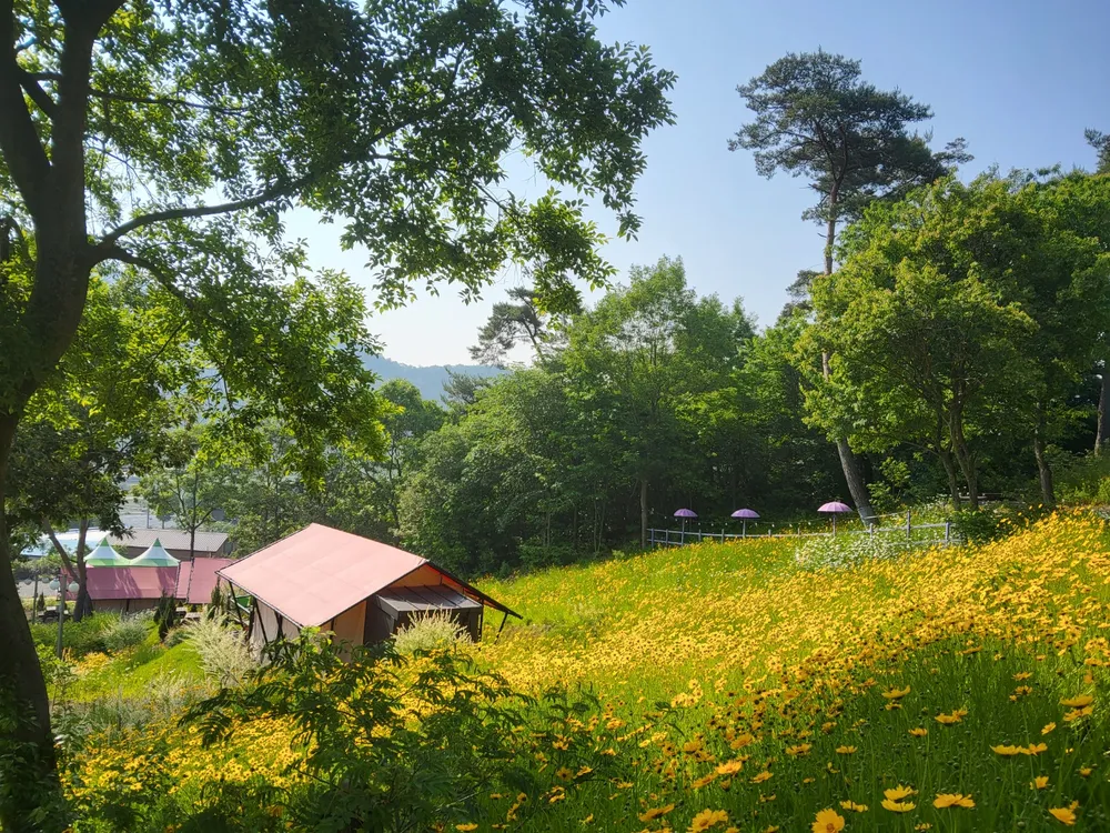 화순정원글램핑관광농원 대표 이미지