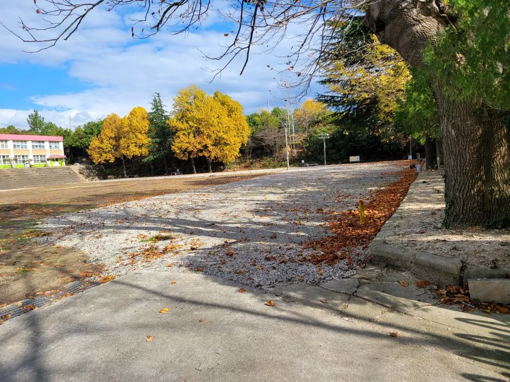 드론스포츠코리아 대표 이미지